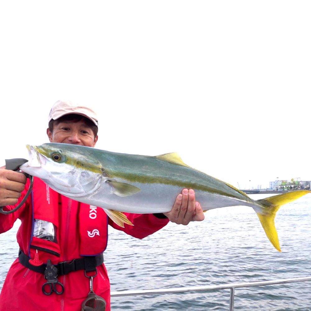 DAIICHISEIKO Fish Jaw Grip MC - Image 11
