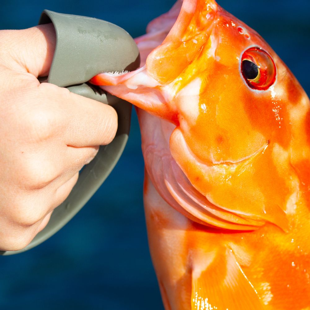 DAIICHISEIKO Fish Jaw Grip MC - Image 12
