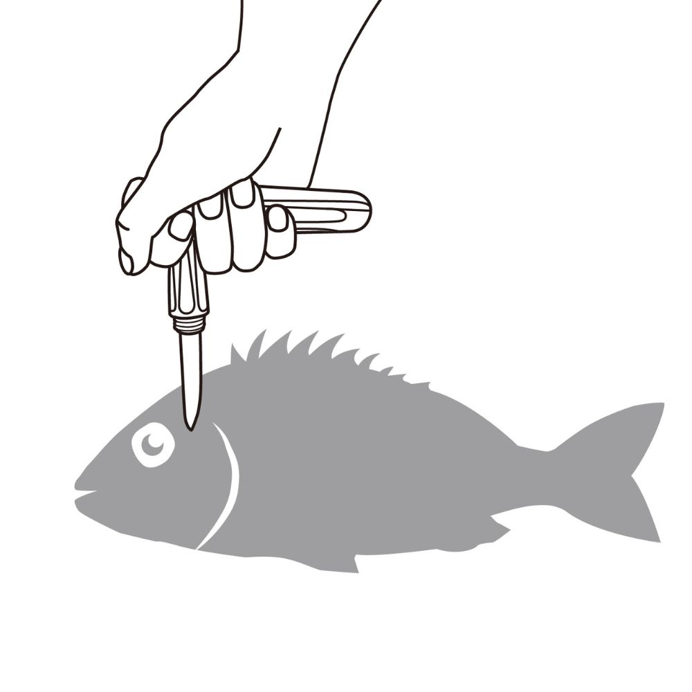 DAIICHISEIKO Fish End-Game MC T HANDLE KNIFE Black - Image 5