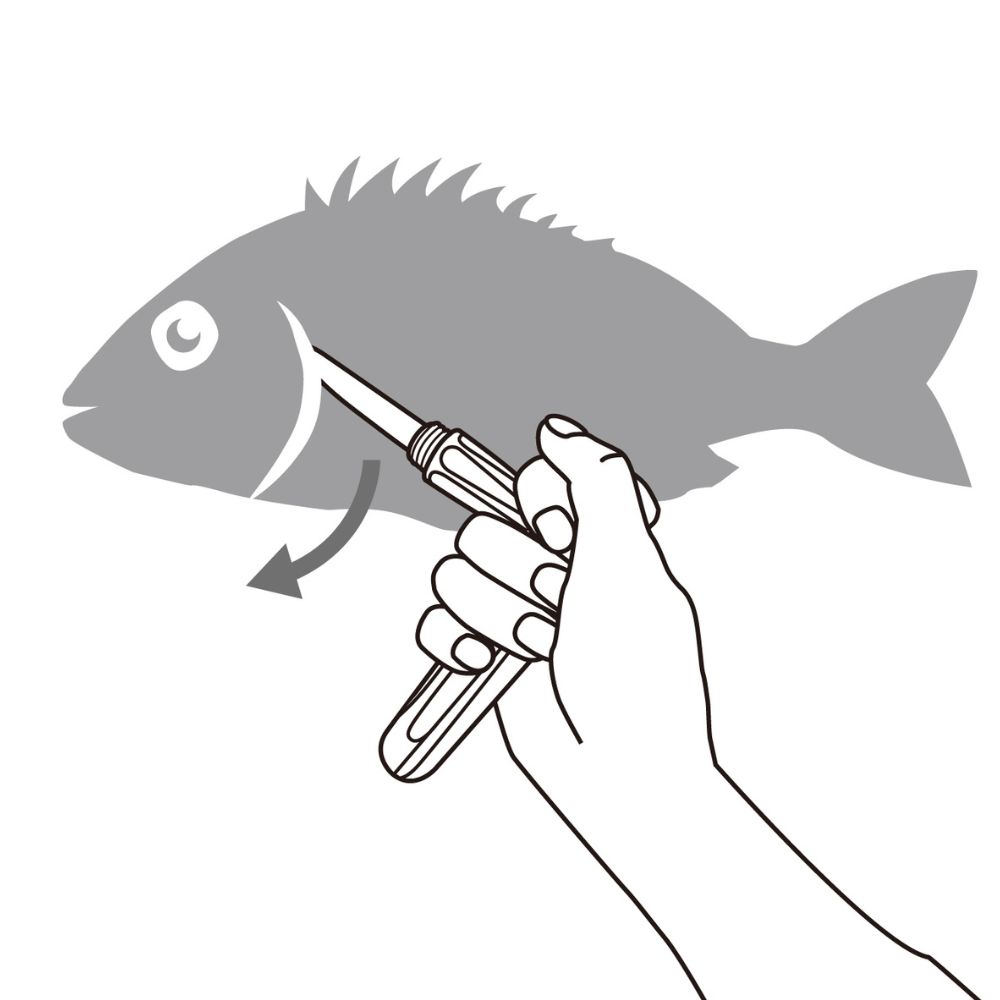 DAIICHISEIKO Fish End-Game MC T HANDLE KNIFE Black - Image 6