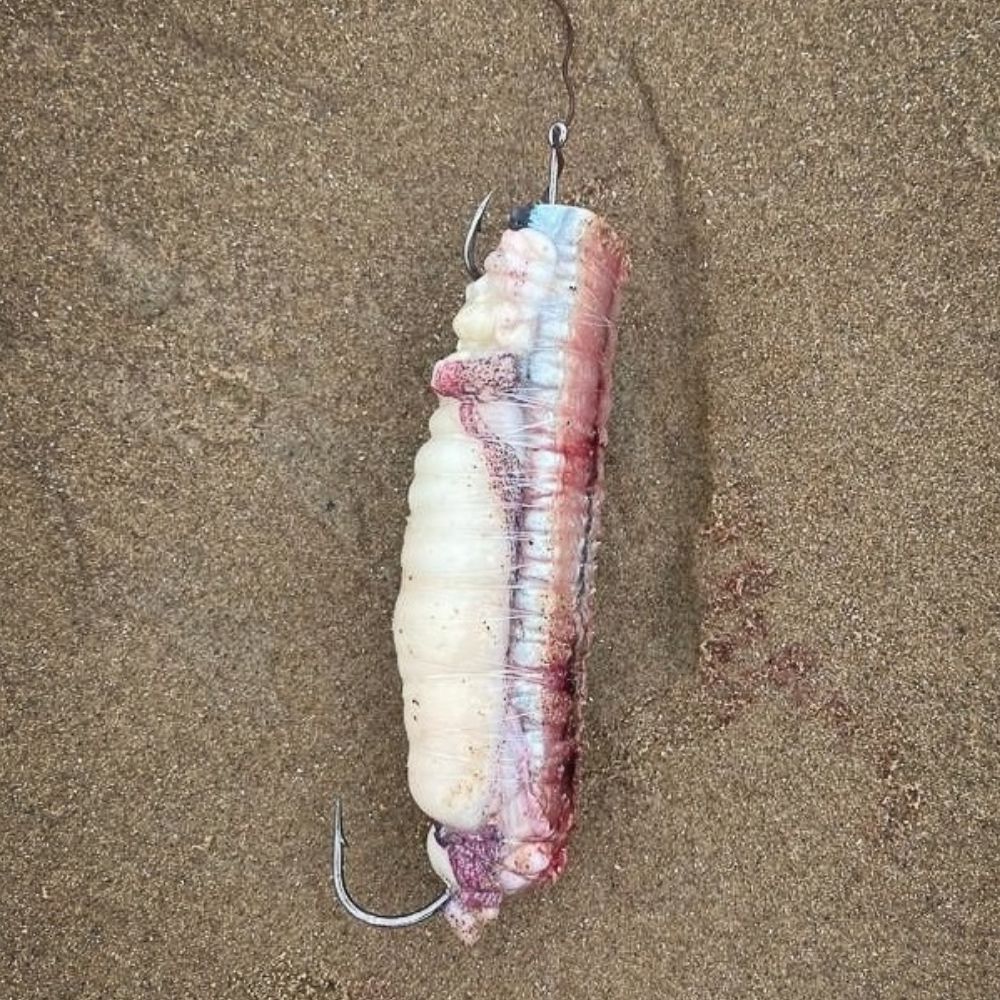INOVA Fishing Bait Rigging Elastic Dispenser With Needles BAIT RAPPER PRO - Image 8