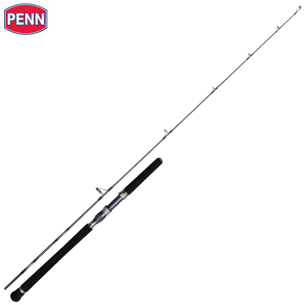 Saltwater Spinning Rods  PENN Fishing®️ US – PENN® Fishing