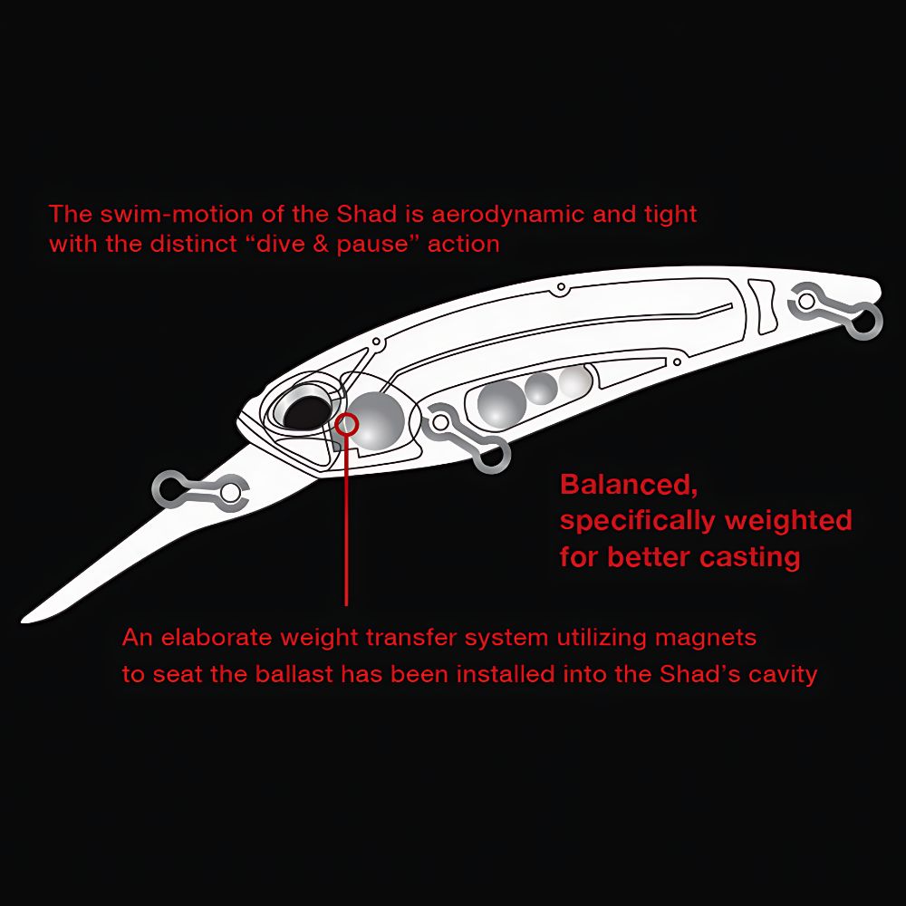 DUO Diving Minnow Bait Lure REALIS SHAD 62DR SP - Image 2