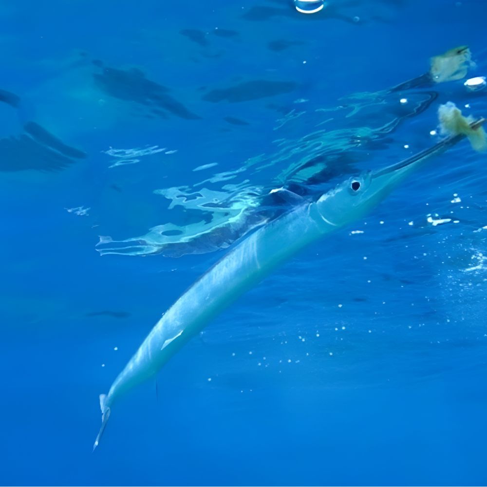 SKEINFISH Needlefish Trolling Micro-Filaments YELLOW - Image 2