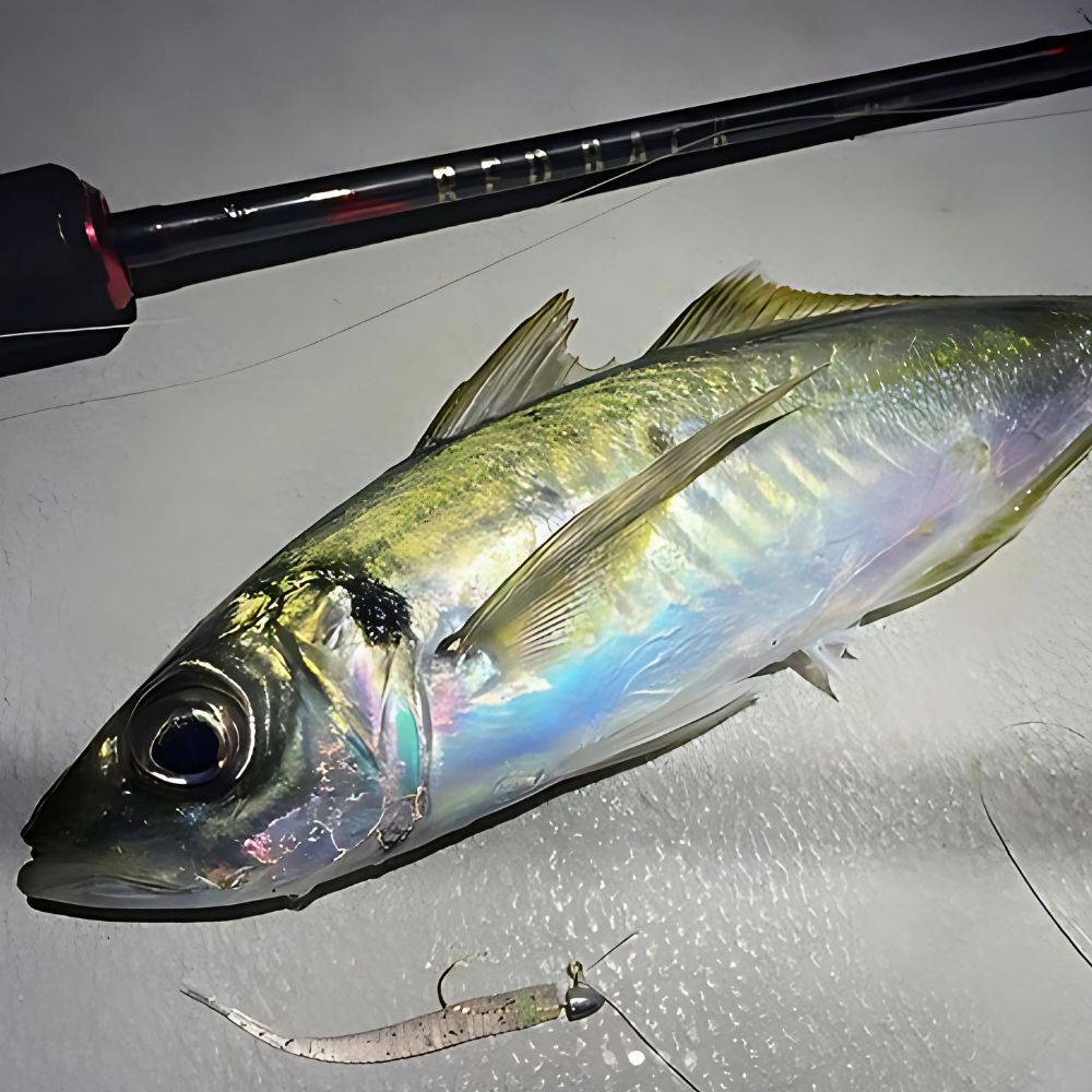 MAJOR CRAFT Ultra Light Fishing Jighead AJI-DO HEAD - Image 4