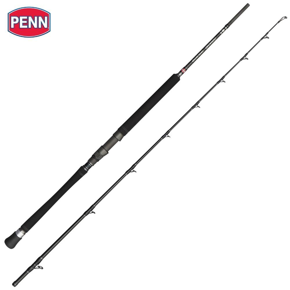 PENN Saltwater Bottom Fishing Rod CARNAGE II VIKING Edition Boat 2.13m/100-250g