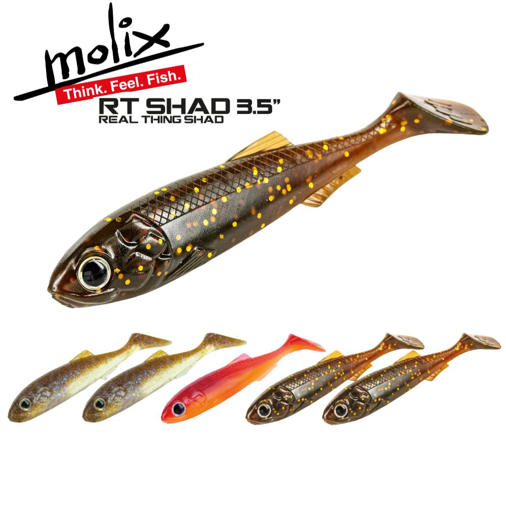 MOLIX Lifelike Soft Plastic Lure Real Thing Shad RT 3.5 Mixed Pack MP6