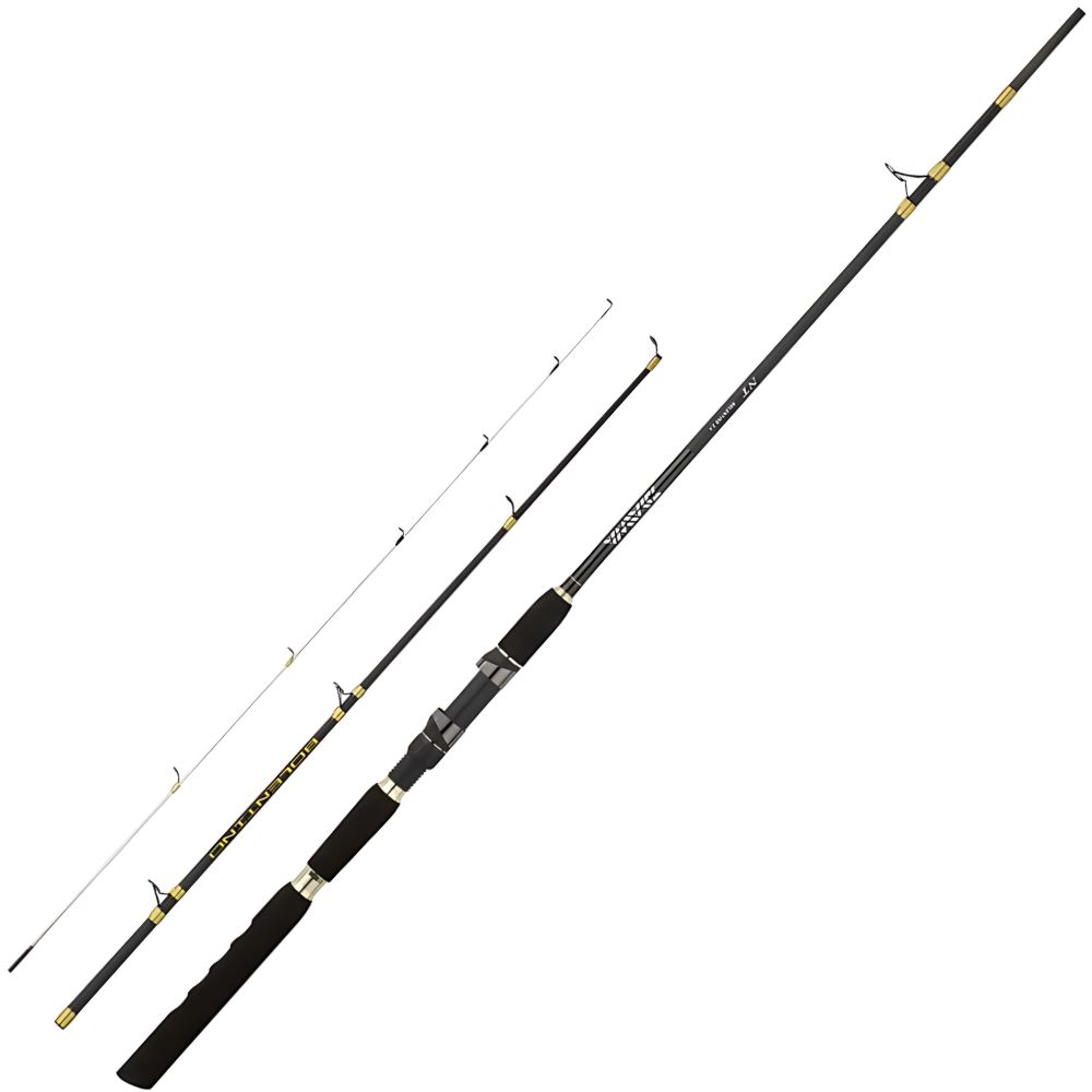 DAIWA Bottom Fishing Rod NT BOLENTINO 2.40m/30–150g - Image 2