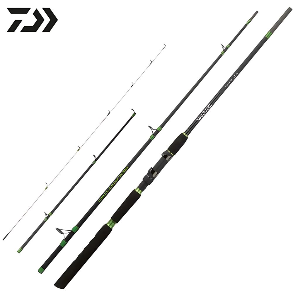 DAIWA Bottom Fishing Rod NT BOLENTINO 3.00m/30–150g