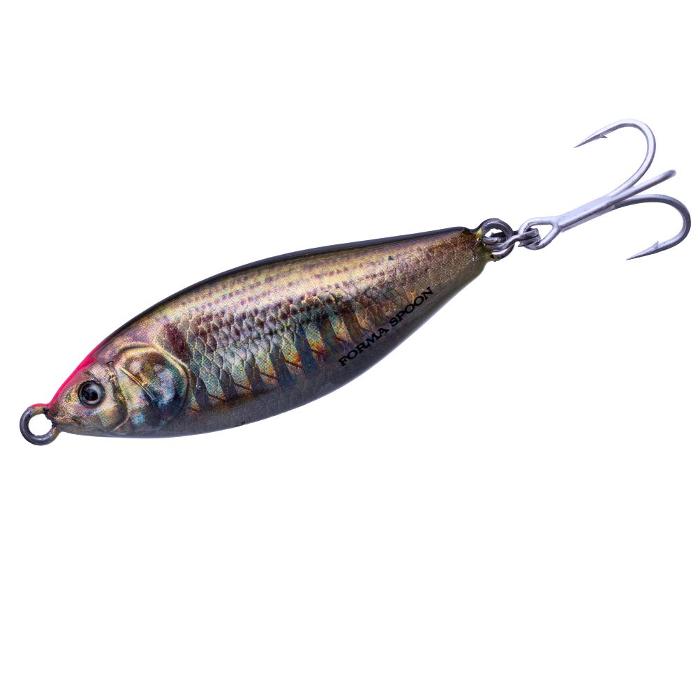 LITTLE JACK Saltwater Fishing Lure FORMA SPOON 18g/58mm - Image 7