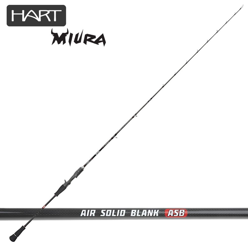 HART Saltwater Boat Fishing Baitcasting Rod MIURA MAX 61C 90-300g