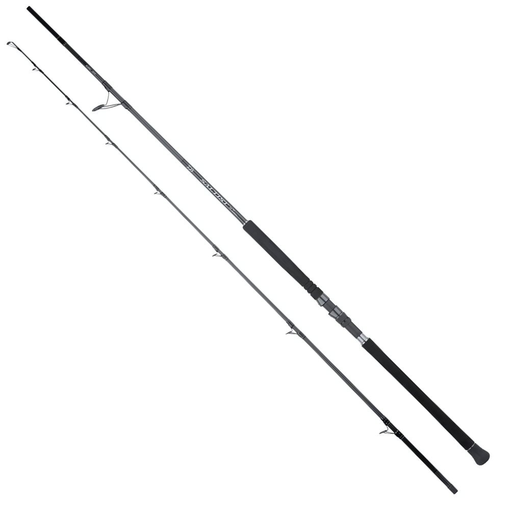 DAIWA Shore Jigging Rod SALTIST JIG SPECIAL SX SJ 100HH - Image 2