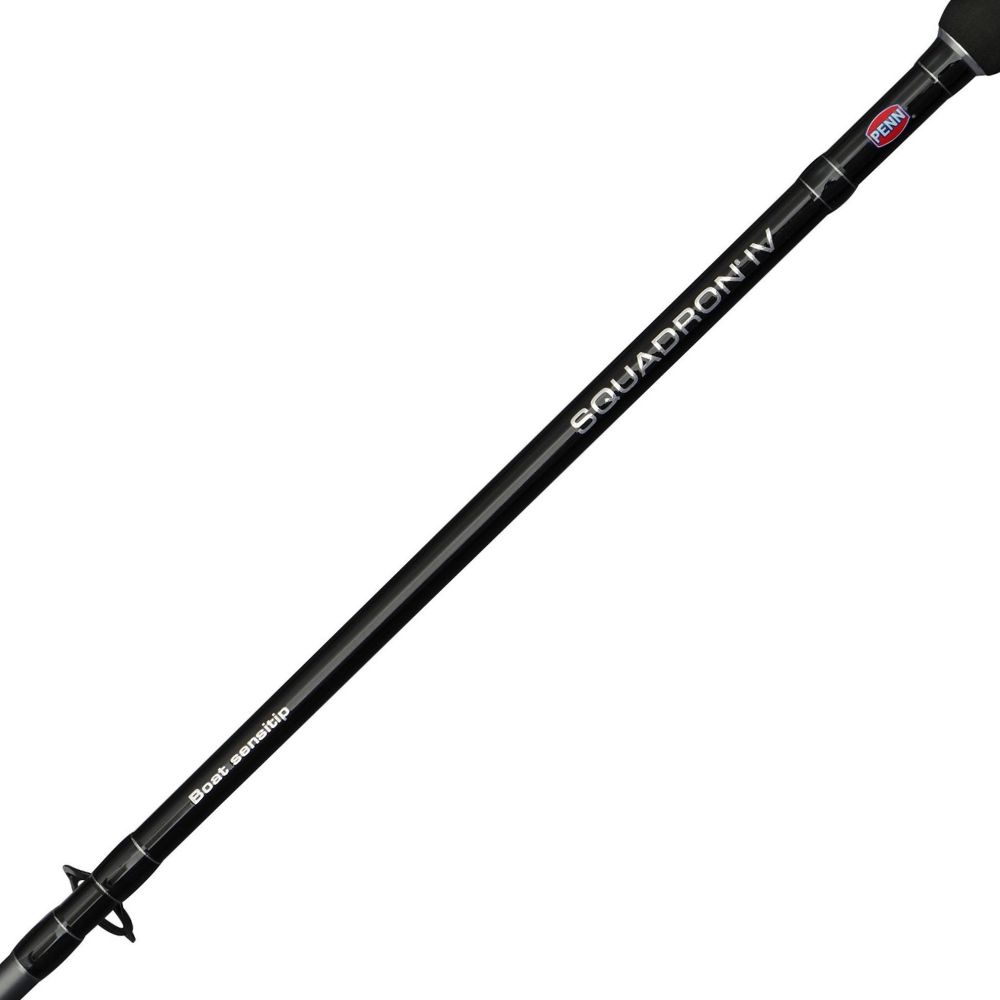 PENN Bottom Fishing 2-Tip Rod SQUADRON IV Boat Sensitip 3.0m/300g - Image 4
