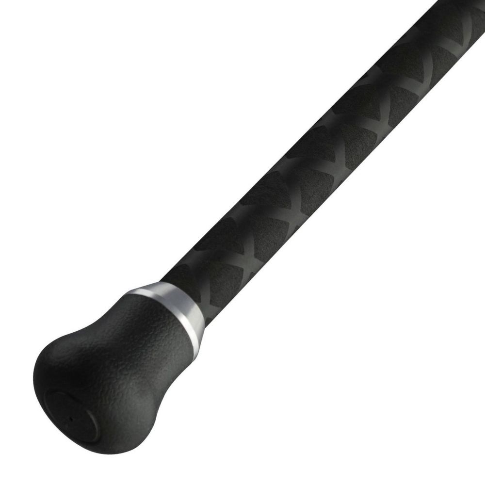 PENN Bottom Fishing 2-Tip Rod SQUADRON IV Boat Sensitip 3.0m/300g - Image 6