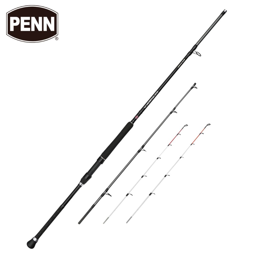 PENN Bottom Fishing 2-Tip Rod SQUADRON IV Boat Sensitip 3.0m/300g