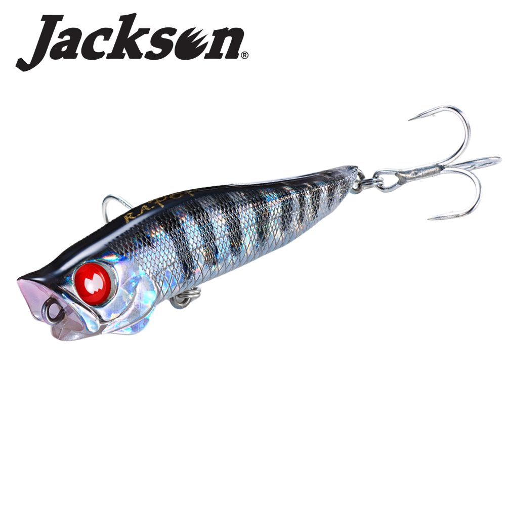 JACKSON Topwater Fishing Popper Lure R.A. POP 70