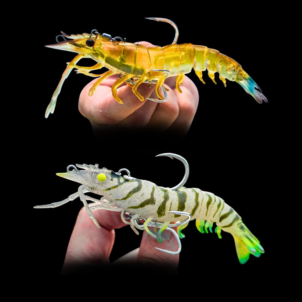 NOMAD DESIGN Pre-Rigged & Pre-Scented Soft Lure LIVE OPS SUMO SHRIMP 4“ - Image 3
