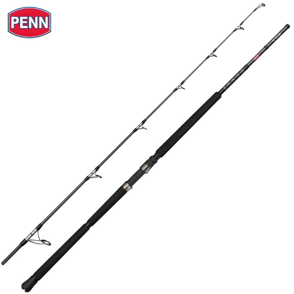 PENN Offshore Casting Rod ALLY II 2.44m/Max 100g