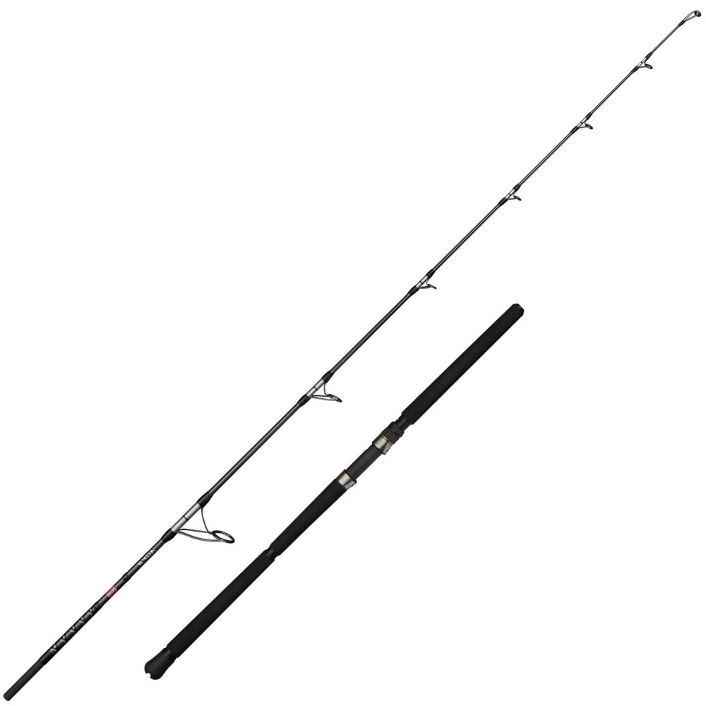 PENN Offshore Casting Rod ALLY II POPPING 2.49m/20-150g - Image 2