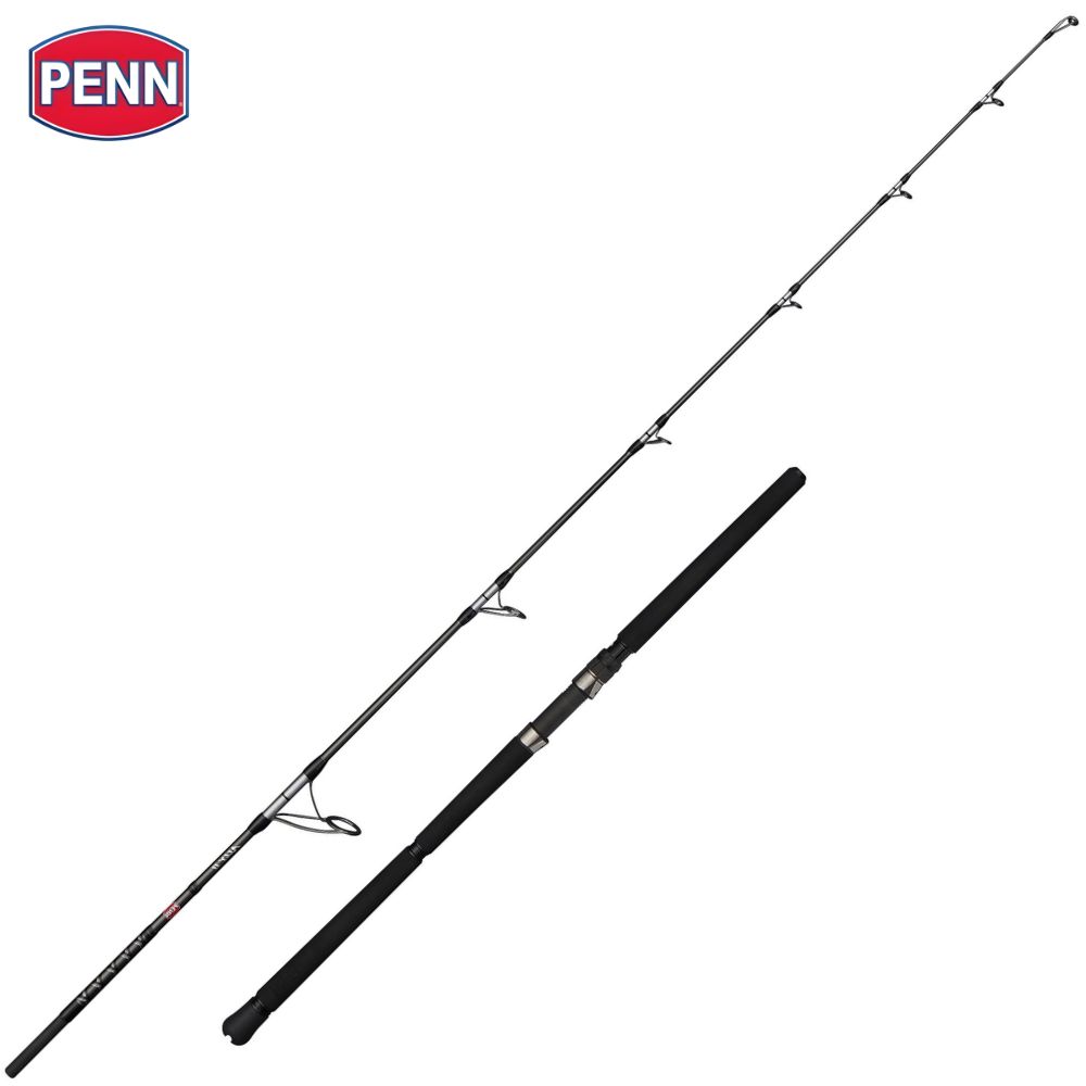 PENN Offshore Casting Rod ALLY II POPPING 2.49m/20-150g