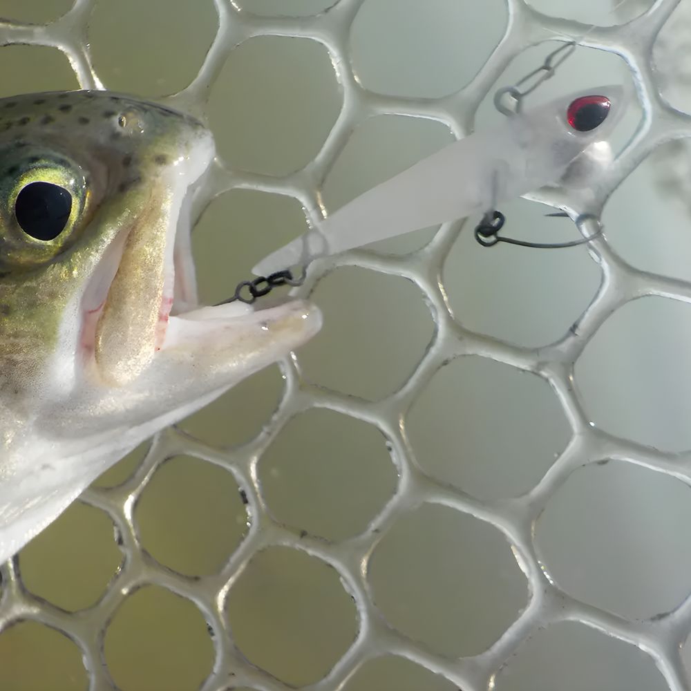 VALKEIN Trout Area Fishing Lipless Bottom Minnow SHINE RIDE - Image 4