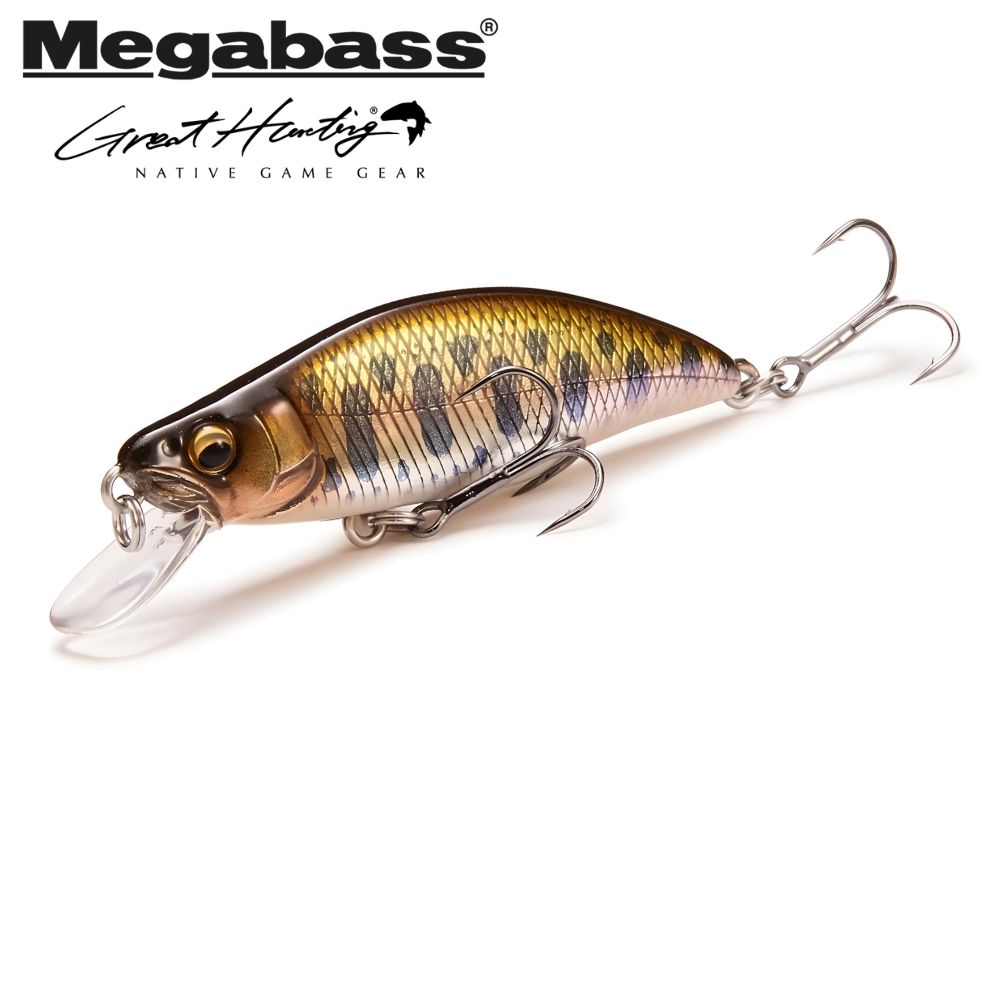 MEGABASS Finesse Trout Fishing Minnow Lure GREAT HUNTING GH46 HUMPBACK FS