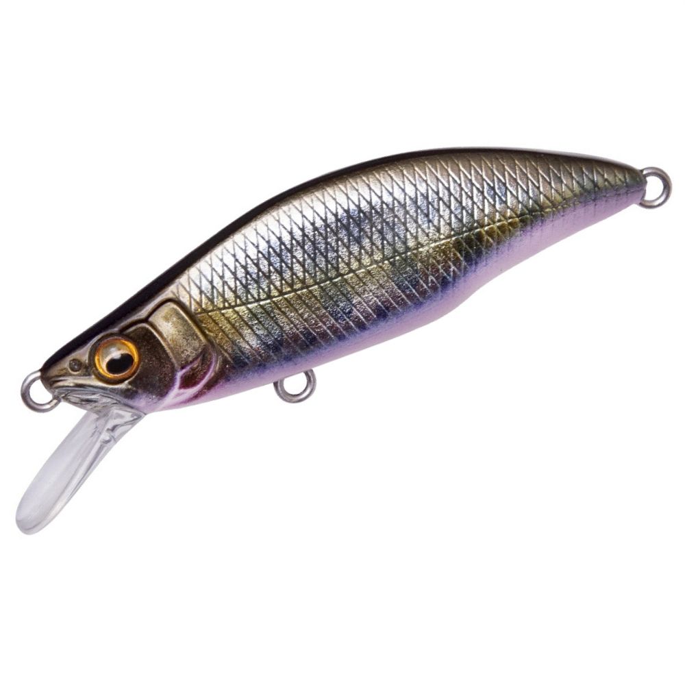 MEGABASS Finesse Trout Fishing Minnow Lure GREAT HUNTING GH51 HUMPBACK FS - Image 6
