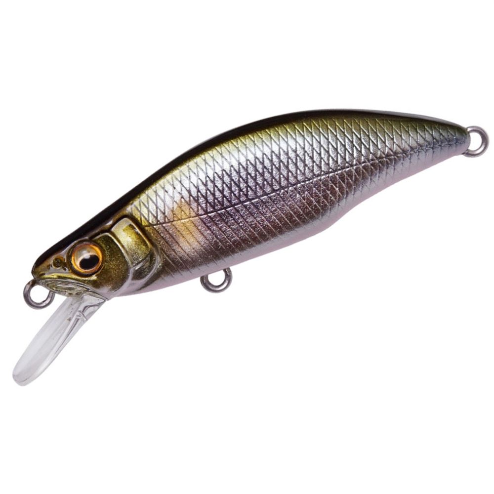 MEGABASS Finesse Trout Fishing Minnow Lure GREAT HUNTING GH51 HUMPBACK FS - Image 7