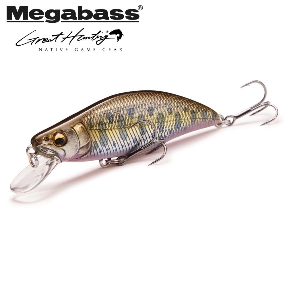 MEGABASS Finesse Trout Fishing Minnow Lure GREAT HUNTING GH51 HUMPBACK FS