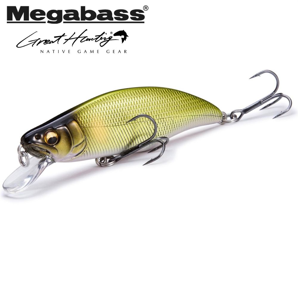 MEGABASS Finesse Trout Fishing Minnow Lure GREAT HUNTING GH64 HUMPBACK FS