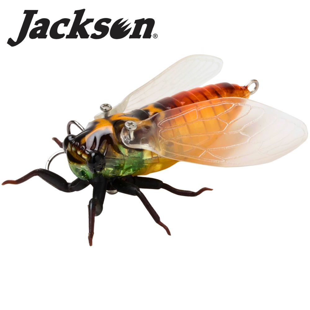 JACKSON Finesse Topwater Fishing Floating Cicada Lure NAMAZEMI 42mm/4.5g
