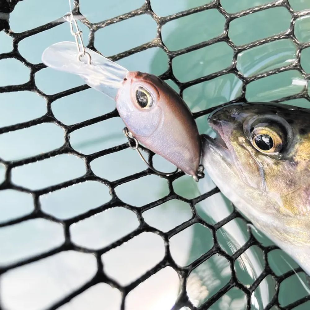 VALKEIN Finesse Trout Area Fishing Floating Crankbait Lure HAZE F - Image 3