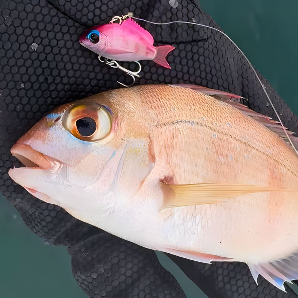 LITTLE JACK Soft Swimbait Lure MICRO CHARIKOM 25mm/2.5g - Image 9