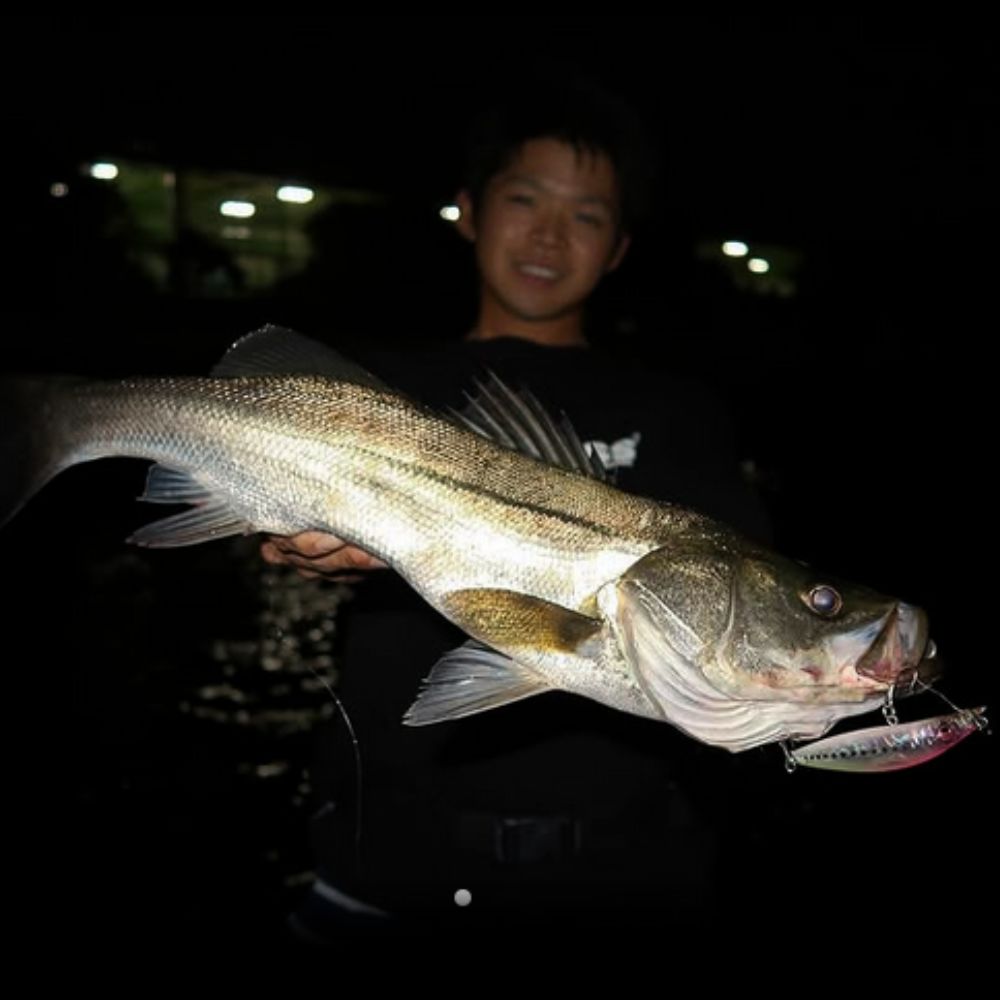 MEGABASS Sakltwater Sinking Minnow Lure ZONK SINPEN 77 - Image 3