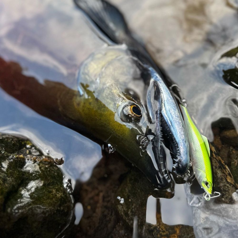 ValkeIN Trout Fishing Sinking Minnow Lure Level Ondine RaXma 55S - Image 4