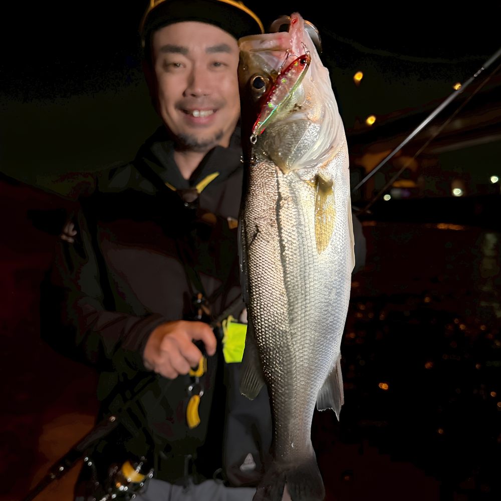 DUO TETRA WORKS Floating Diving Pencil Lure CHIBI FLAT 50 - Image 2