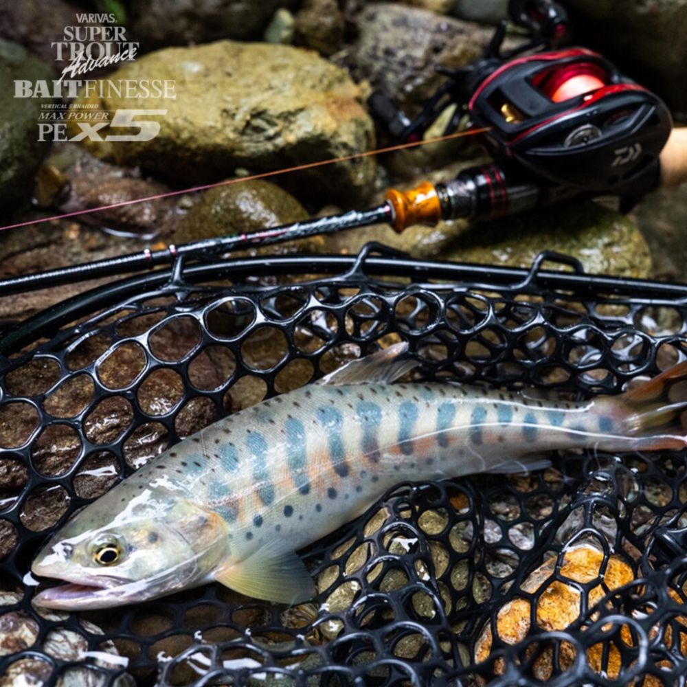VARIVAS Braid Line SUPER TROUT Advance BAIT FINESSE MAX POWER PE X5 - Image 8